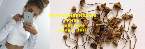 MDMA Новодвинск