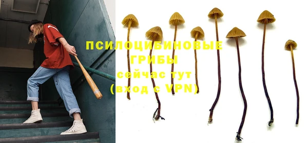бошки Новокубанск
