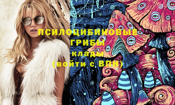 MDMA Новодвинск