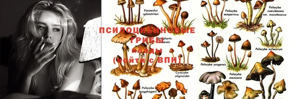 MDMA Новодвинск